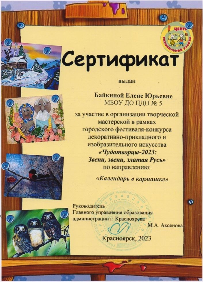 Байкина Е.Ю. Сертификат Чудотворцы 2023